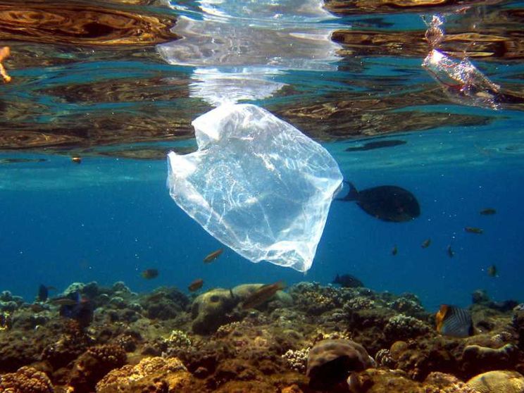 Perché la Giornata dell'Ambiente impone una scelta subito sulla plastica