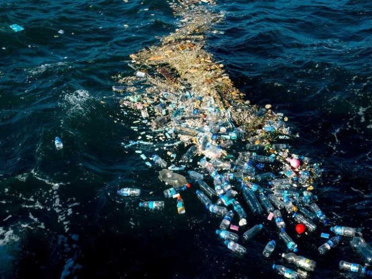 Le microplastiche sono nelle arterie. E si curano con un batterio