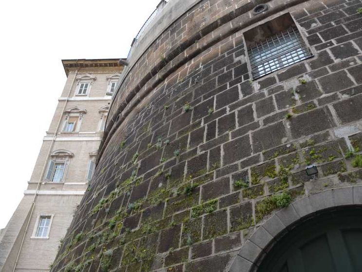 Cresce l’utile netto dello Ior. E al Papa va un dividendo di 13,8 milioni