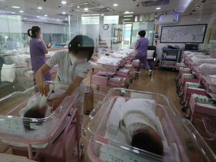 Corea del Sud, la scatola che salva i neonati