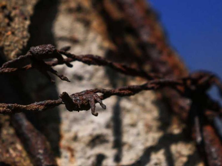Martiri dei nazisti e della Guerra civile spagnola: ecco i 174 nuovi beati