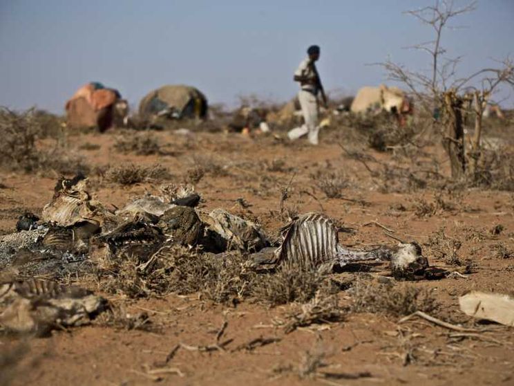 Oxfam: record di patrimoni dell'1% più ricco e della povertà estrema