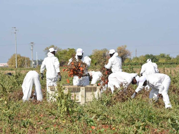Ecco tutte le contraddizioni del decreto flussi