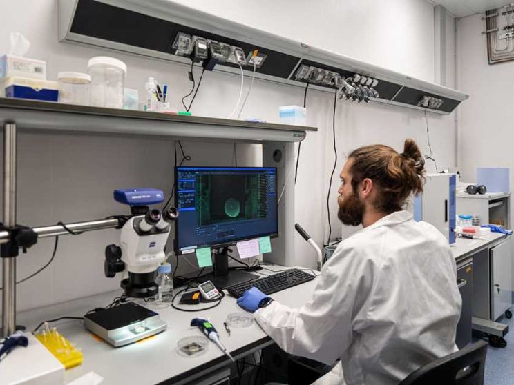 «Siamo precari, non vediamo un futuro». La fuga dei ricercatori dall'Italia