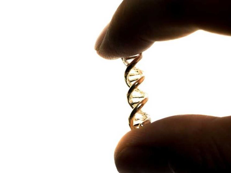 Bioetica e teologia morale, dialogo sulle sfide dell’umano