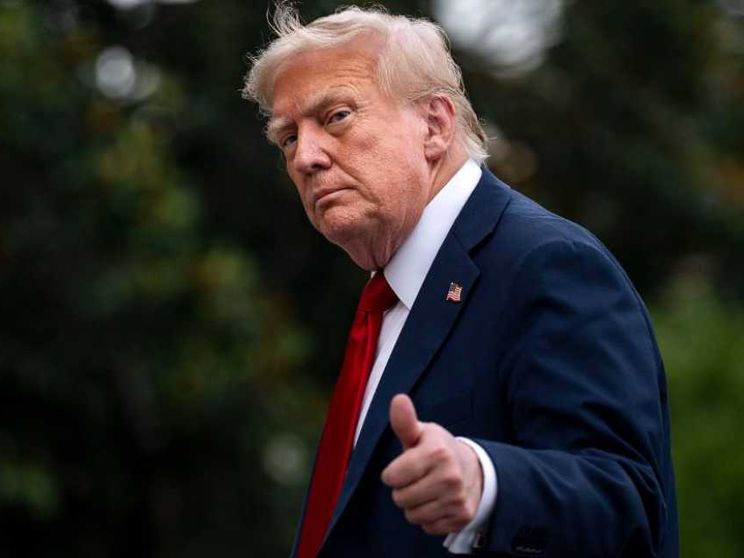 Donald Trump adesso si occupa dell'“affare” Ucraina