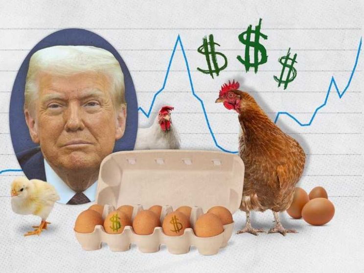 L'Uovo di Trump torna a far litigare l'America