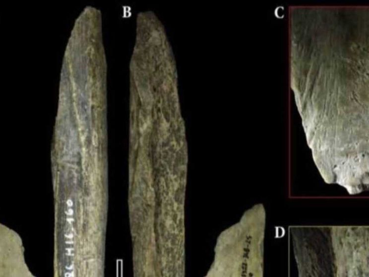 Scoperto in una grotta belga il coltellino svizzero dei Neanderthal