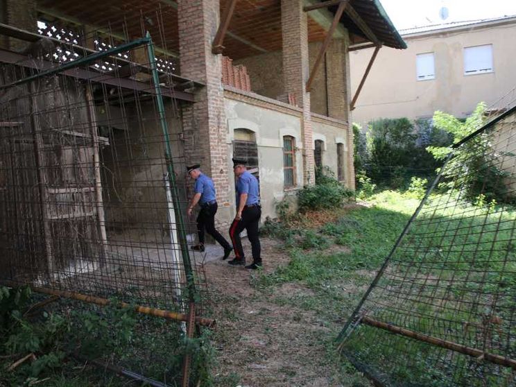 Geraldine, Ramona, Raisa: le donne continuano ad essere uccise