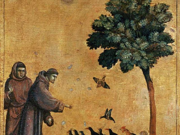 Gli 800 anni del Cantico delle Creature sono un manifesto per l'oggi