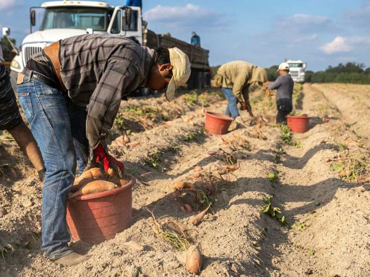 Blitz fallito del governo per allungare i contratti a termine: misura ritirata