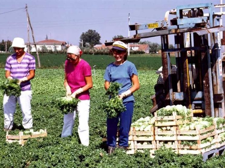 Al via il X bando di "Coltiviamo agricoltura sociale"