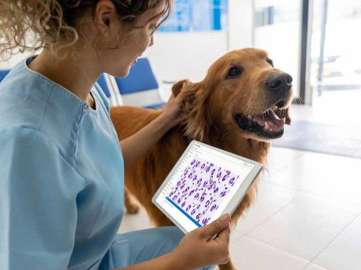 Veterinari, la sfida dell'innovazione
