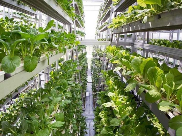 Nel 2024 ha generato un valore pari a 426,8 miliardi di euro