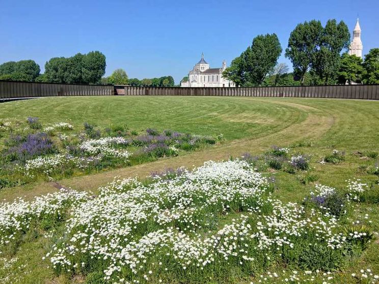Arras, la città "reduce di guerra" che ha costruito la sua speranza
