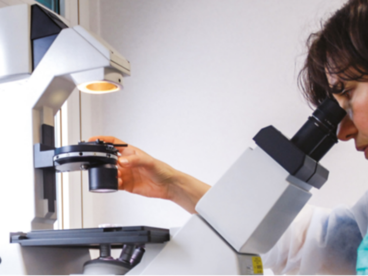 «Con le terapie epigenetiche possiamo frenare la corsa delle malattie»