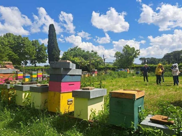 Macerata, in viaggio seguendo il ronzio delle api