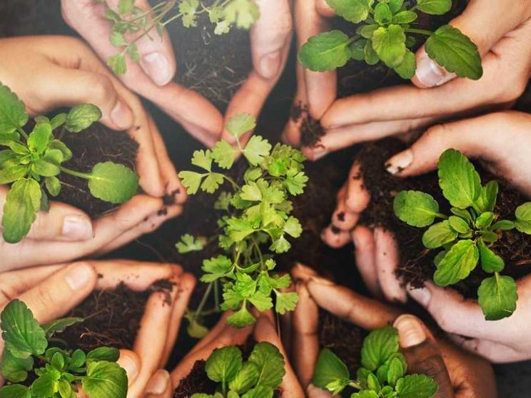 Dialogo e ascolto, così la Bibbia insegna alla scienza a difendere il Creato