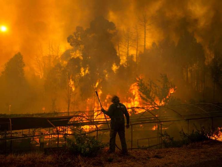 Incendi in Spagna: i pellegrini in fuga dal Cammino di Santiago
