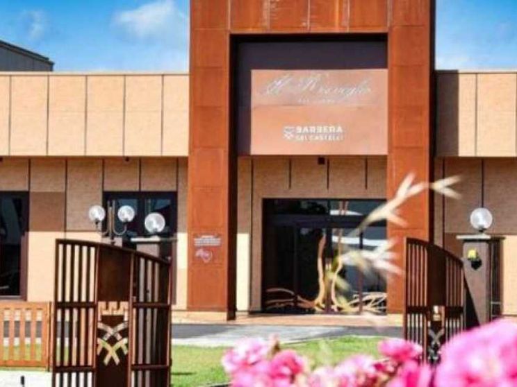 Un incontro fra scienza ed enologia per riscoprire viti secolari