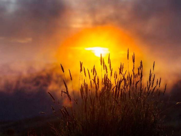 Come celebrare la Giornata di preghiera per il Creato