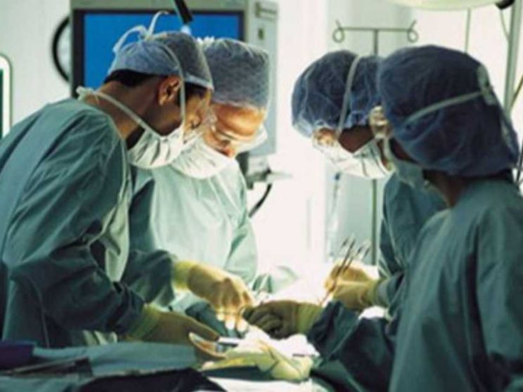 Guariremo con gli organi tascabili e i tessuti biologici