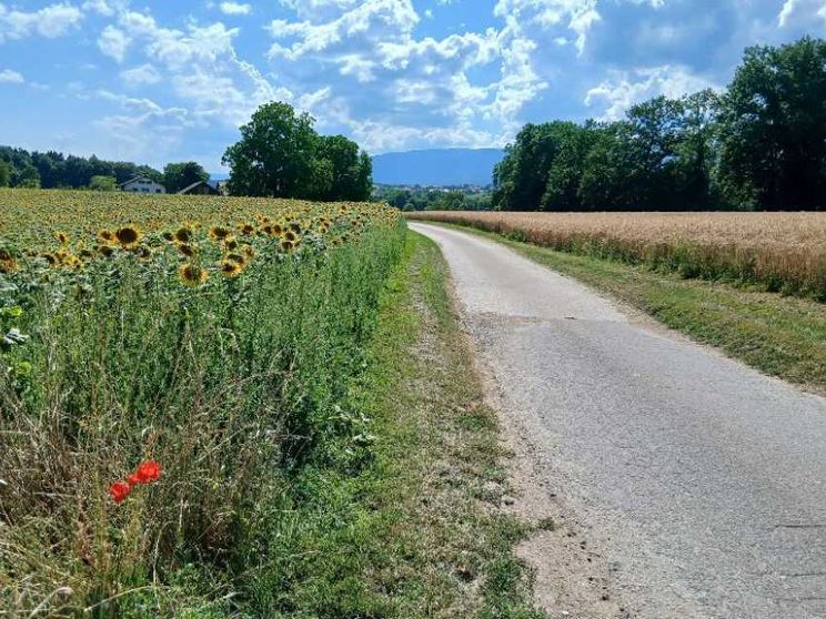 Lungo la frontiera dei pellegrini i veri monumenti sono le persone