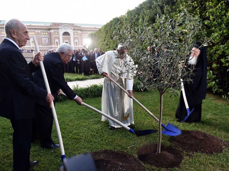 Neril: «La cura del Creato? Sfida comune per cristiani ed ebrei»