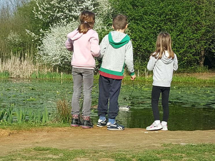 Sarebbe bellissimo e giusto se la famiglia restasse al centro della scena