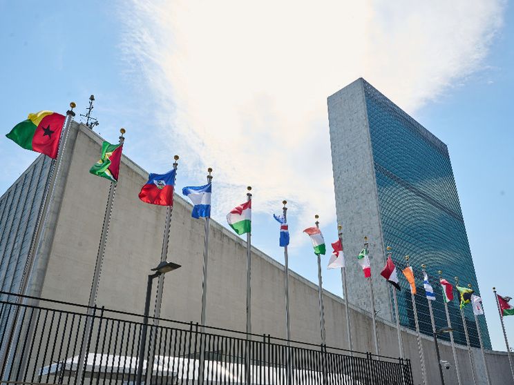 Maternità surrogata: alle Nazioni Unite arriva il giorno per dire basta