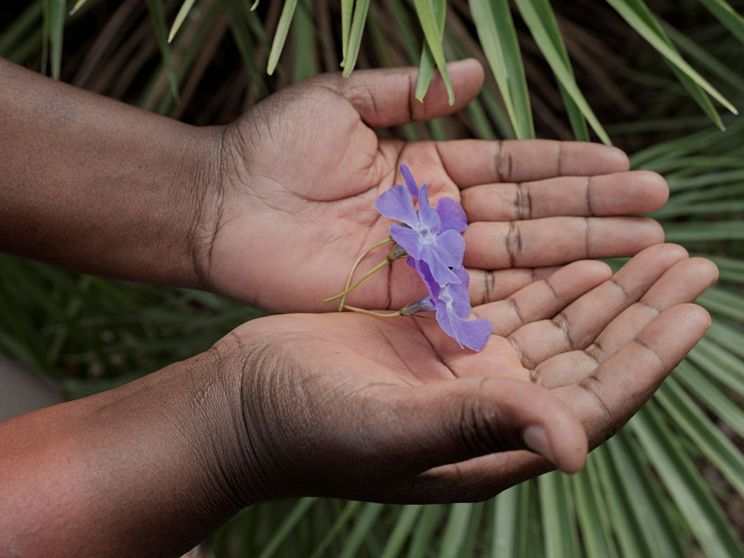 Due mani di una ragazza nera tengono dolcemente una violetta