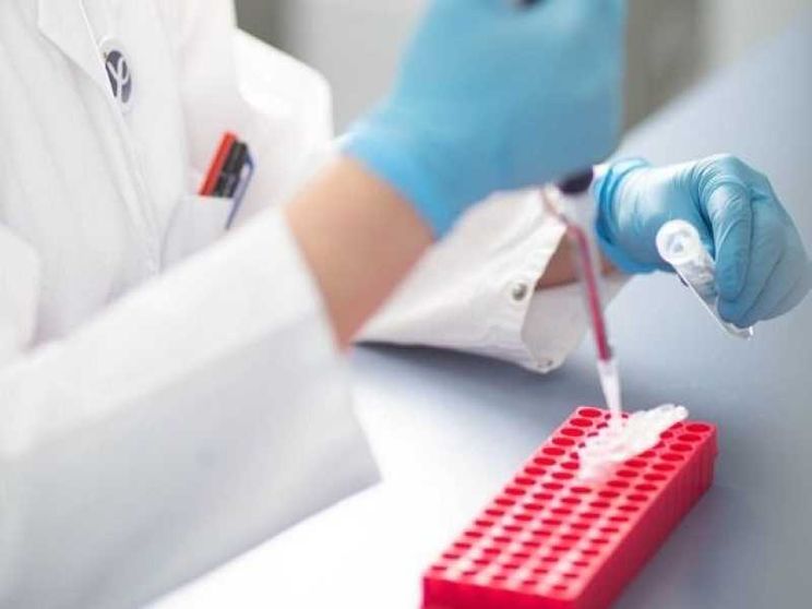 Medicina rigenerativa, Italia e Giappone alleate per le staminali del futuro