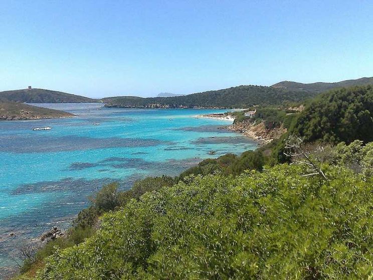 Sardegna, la spiaggia di Tuerredda e il coraggio di un pastore