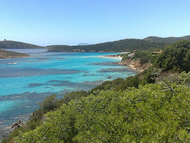 Sardegna, la spiaggia di Tuerredda e il coraggio di un pastore
