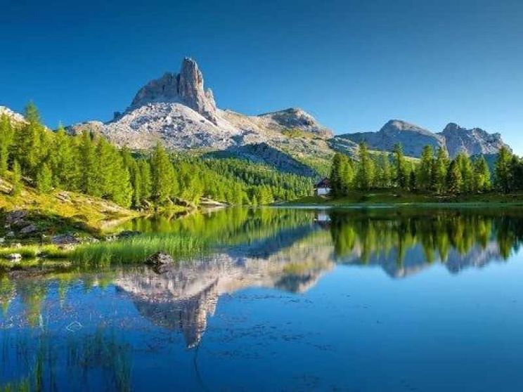 E se il «genio» della natura si salvasse con la tecnologia?