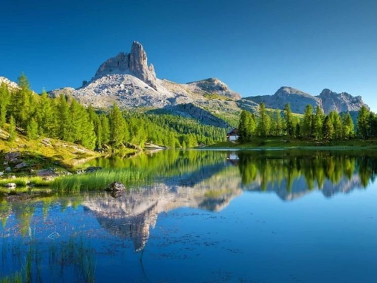 E se il «genio» della natura si salvasse con la tecnologia?