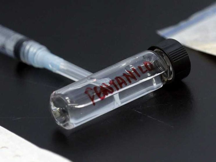 «Dal Fentanyl danni gravissimi». La prevenzione passa da scuola