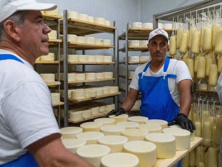 Latte Sano brucia le tappe sugli obblighi Ue: dal 2026 una confezione "vegetale"