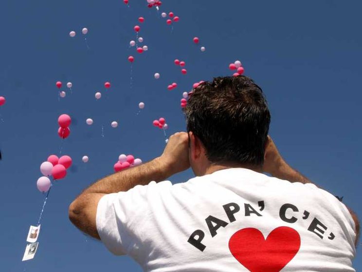 Un padre a una manifestazione indossa la maglia “Papà c'è”  / Ansa