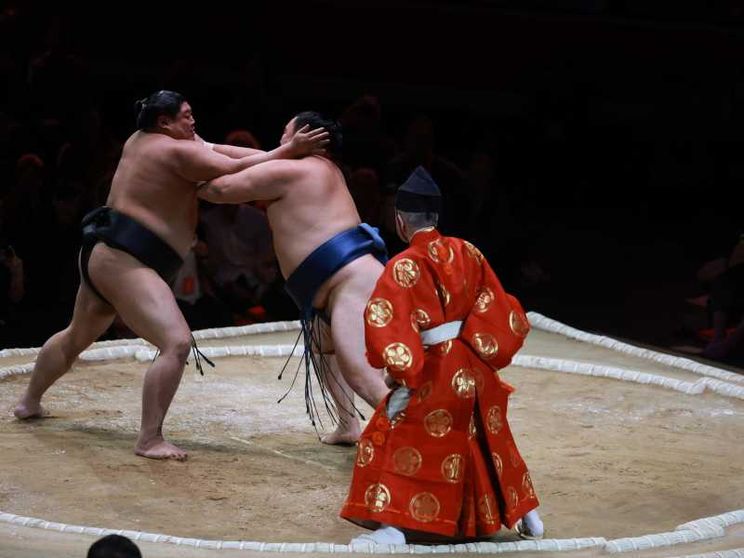 Un incontro di sumo