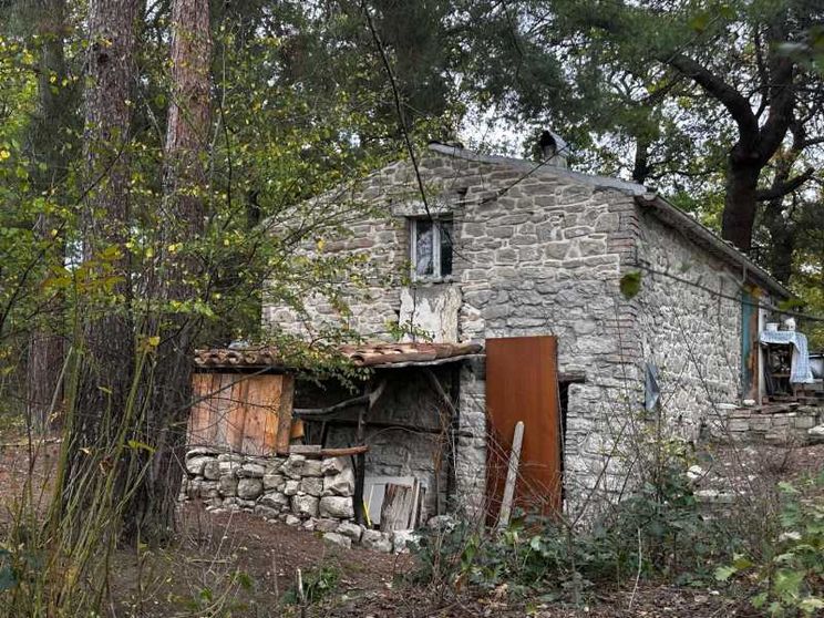 Relazioni, referti, giudici: tutti contro tutti sulla famiglia nel bosco