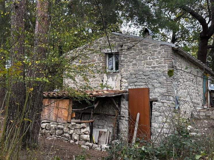 Relazioni, referti, giudici: tutti contro tutti sulla famiglia nel bosco