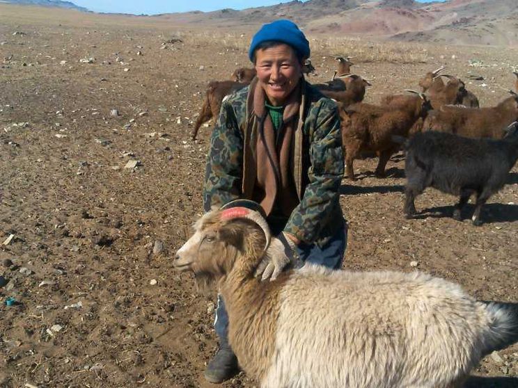 Il cashmere non è solo roba da ricchi: «In Mongolia diamo aiuto ai più fragili»
