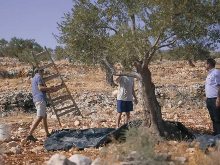 A Taybeh, dove i cristiani lottano per sopravvivere