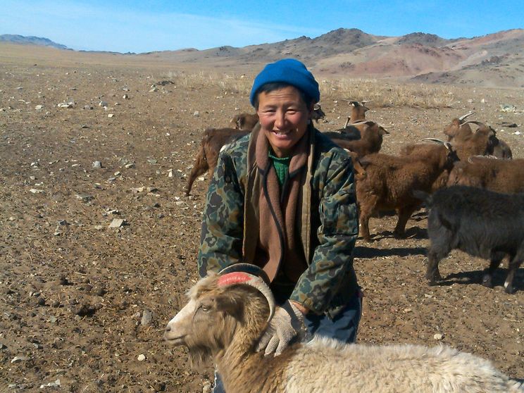 Il cashmere non è solo roba da ricchi: «In Mongolia diamo aiuto ai più fragili»
