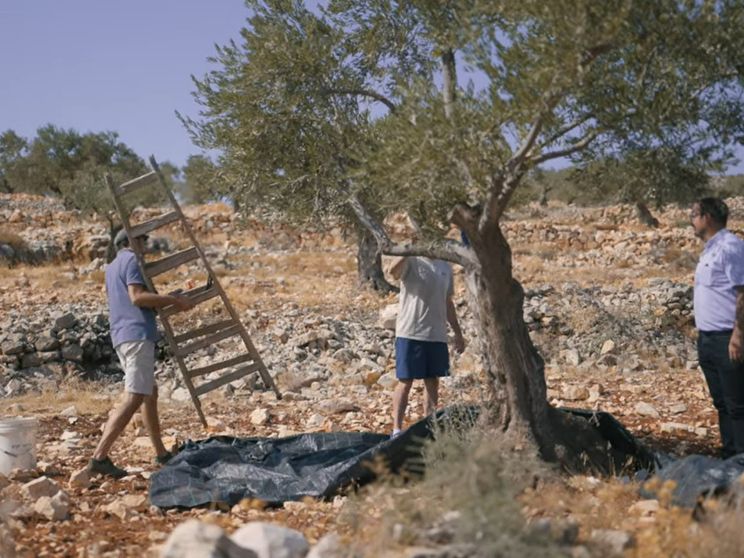 A Taybeh, dove i cristiani lottano per sopravvivere