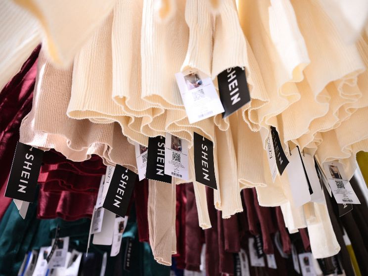 Bambole sessuali e armi, il Parlamento Ue chiede più controlli sull'e-commerce