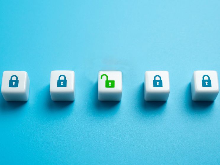 Open access: dalla Rete dei pionieri alla Rete di tutti