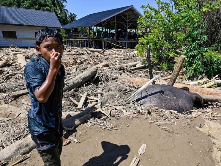 Il Sud Est travolto dalle alluvioni: mille morti, si cercano superstiti nel fango
