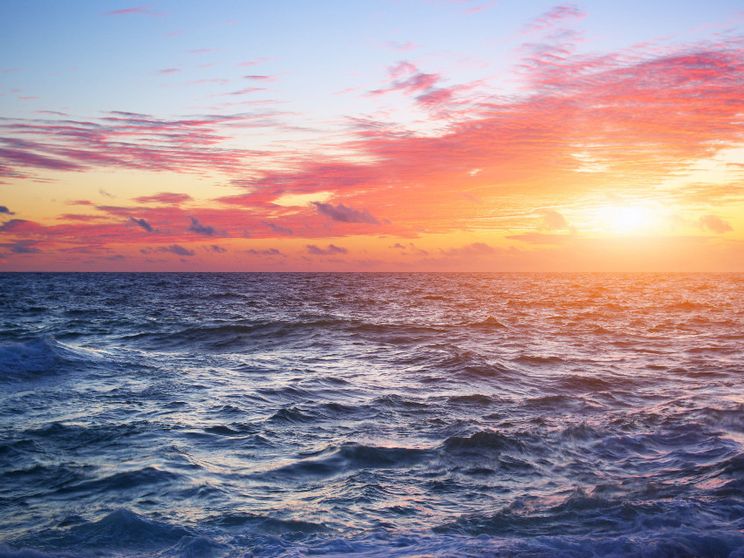 Anche nella vecchiaia lo spirito si può rivolgere al futuro